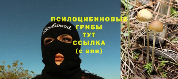 MDMA Premium VHQ Верхний Тагил